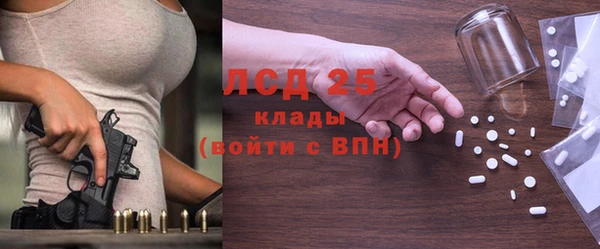 индика Кукмор