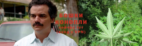 индика Кукмор