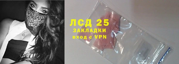 индика Кукмор