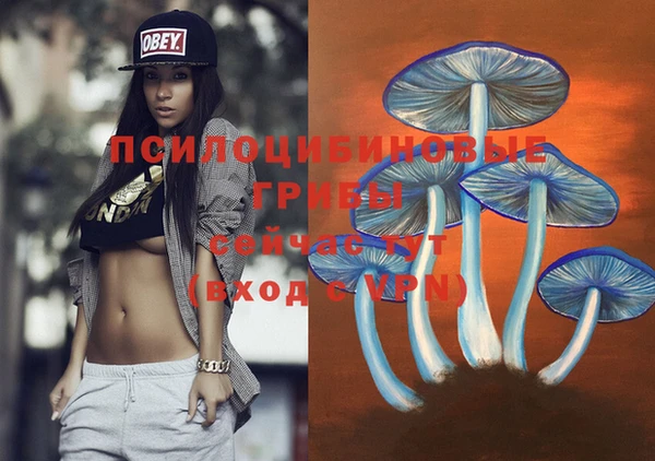 индика Кукмор