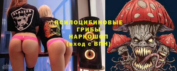 индика Кукмор