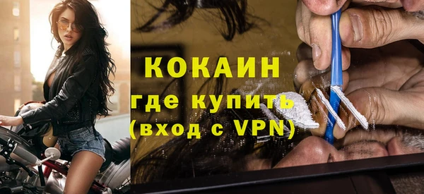 индика Кукмор