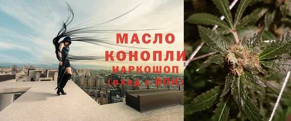 индика Кукмор