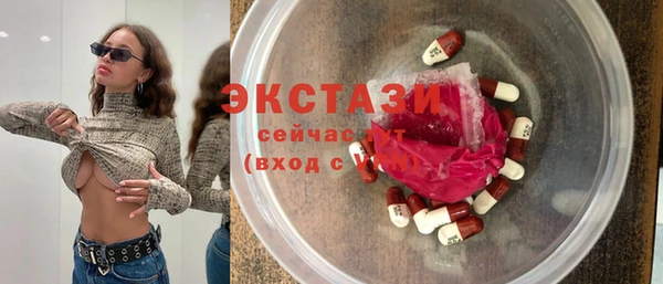 индика Кукмор
