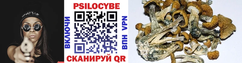 Псилоцибиновые грибы Magic Shrooms Торопец
