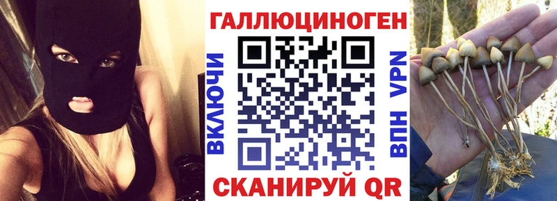 Псилоцибиновые грибы мицелий  цена наркотик  Торопец 